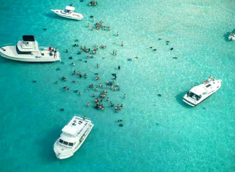 Stingray City - Grand Cayman Island