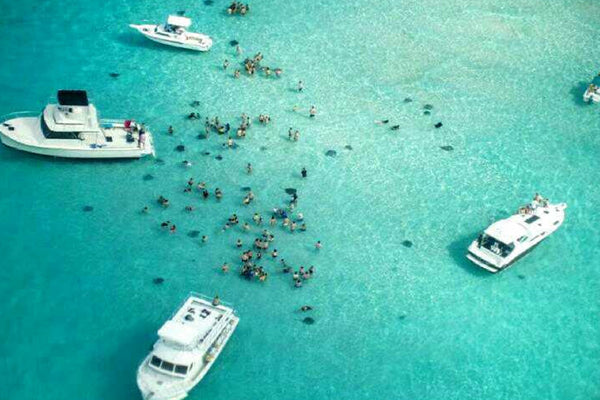 Stingray City - Grand Cayman Island