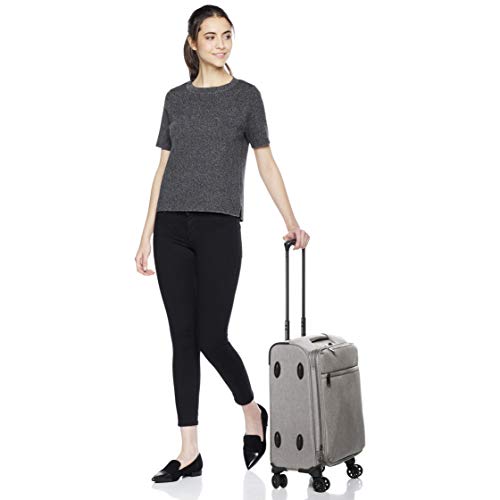 Softside Luggage Spinner Suitcase Spinner - 21-Inch, Heather Grey