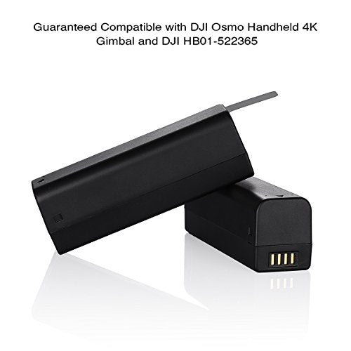 DJI OSMO Battery (2-Pack) and Dual Charger