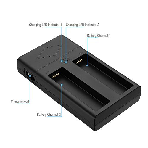 DJI OSMO Battery (2-Pack) and Dual Charger