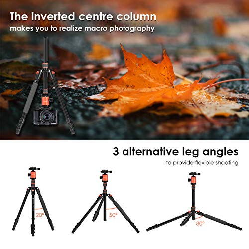 GEEKOTO Tripod, Camera Tripod for DSLR