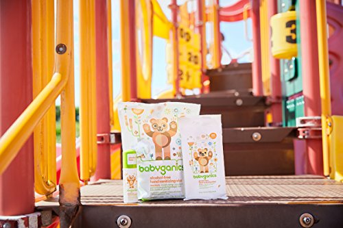 Babyganics Alcohol-Free Foaming Hand Sanitizer, On-The-Go, Fragrance Free, 1.69 oz, 6 Pack, Packaging May Vary