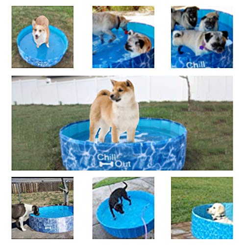 ALL FOR PAWS Outdoor Bathing Dog Pool Portable Pet Bath Tub Blue