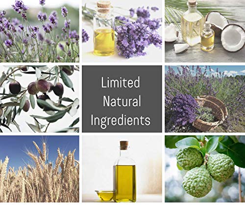 Whiff Shampoo Bar & Conditioner Bar (Fresh Lavender) FRESH LAVENDER: Limited Ingredients; Made USA, Rich lather, Essential Oils; FREE of harmful Fragrances, and Colorings, Concentrated Formula