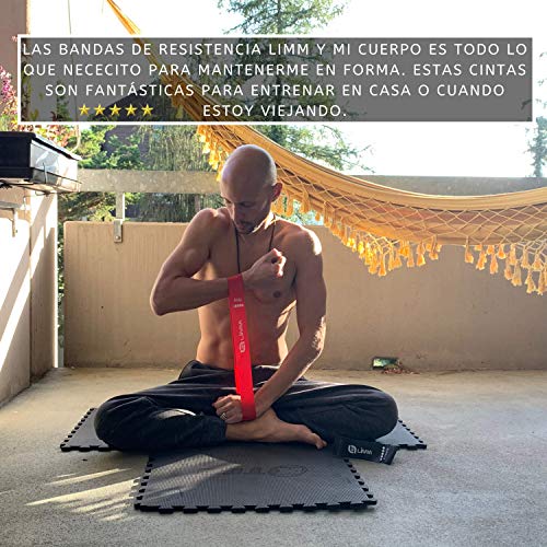 Limm Resistance Bands Exercise Loops - 12-inch Workout Flexbands for Physical Therapy, Rehab, Stretching, Home Fitness