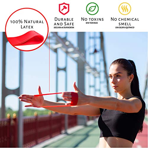 Limm Resistance Bands Exercise Loops - 12-inch Workout Flexbands for Physical Therapy, Rehab, Stretching, Home Fitness