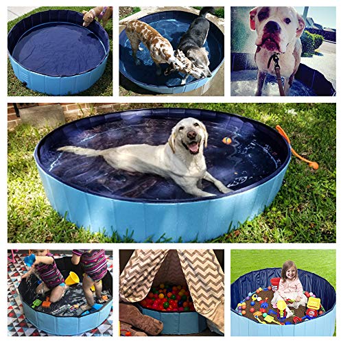 Jasonwell Foldable Dog Pet Bath Pool Collapsible Dog Pet Pool Bathing Tub Kiddie Pool for Dogs Cats and Kids (39.5inch.D x 11.8inch.H, Blue)