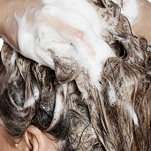 Whiff Shampoo Bar & Conditioner Bar (Fresh Lavender) FRESH LAVENDER: Limited Ingredients; Made USA, Rich lather, Essential Oils; FREE of harmful Fragrances, and Colorings, Concentrated Formula