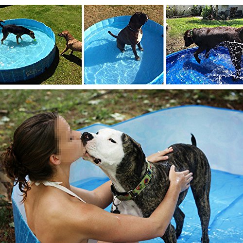 ALL FOR PAWS Outdoor Bathing Dog Pool Portable Pet Bath Tub Blue