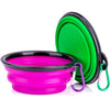 Portable Silicone Pet Bowl, 5 Inches, Foldable Expandable Water Feeding Travel Bowl for Pet Dog Cat and Small Animals (Set of 2, Purple+Green)