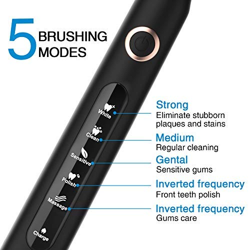 Travel Sonic Electric Toothbrush Power Toothbrush with Travel Case, 5 Modes and 3 Brush Heads, USB Charging Toothbrush with 2-Minute Timer, Waterproof Black