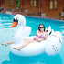 products/51x3p7OGJzL.jpg