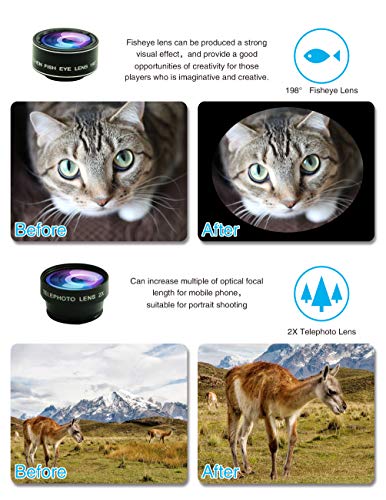 Fisheye Lens Wide Lens Vs Telephoto Lens Cell Phone Camera Lens