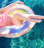 products/61zJ-bOg_eL.jpg