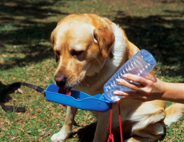 Foldable Pet Dog Drinking Water Bottles Travel Hand Held Puppy Dogs Squeeze Water Bottle Dispenser Flip Down Water Pan