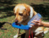 products/C9557CF46158F40358016CC42843F8F6.jpg