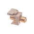 Icc Icc-ic107b5giv Module, F-type, Gold Plated, Ivory