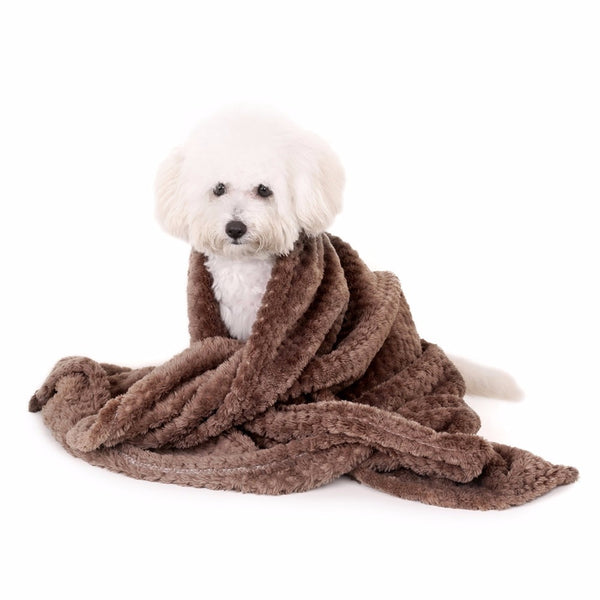 Blanket,Pet,Dog,Warm